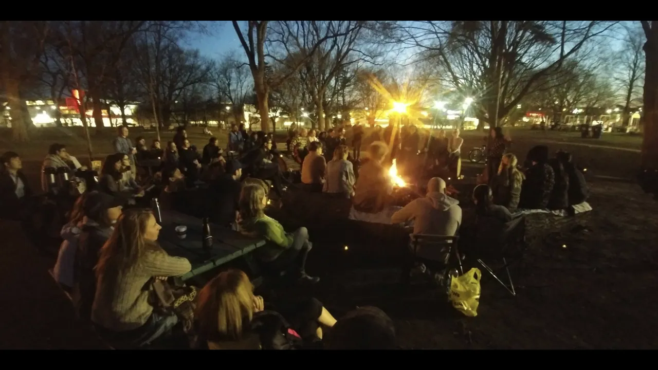 A crowd gathered around a glowing fire in a park at dusk